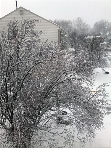 snow-frontyard-march2018-sm
